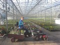 Geen omschrijving gevonden.